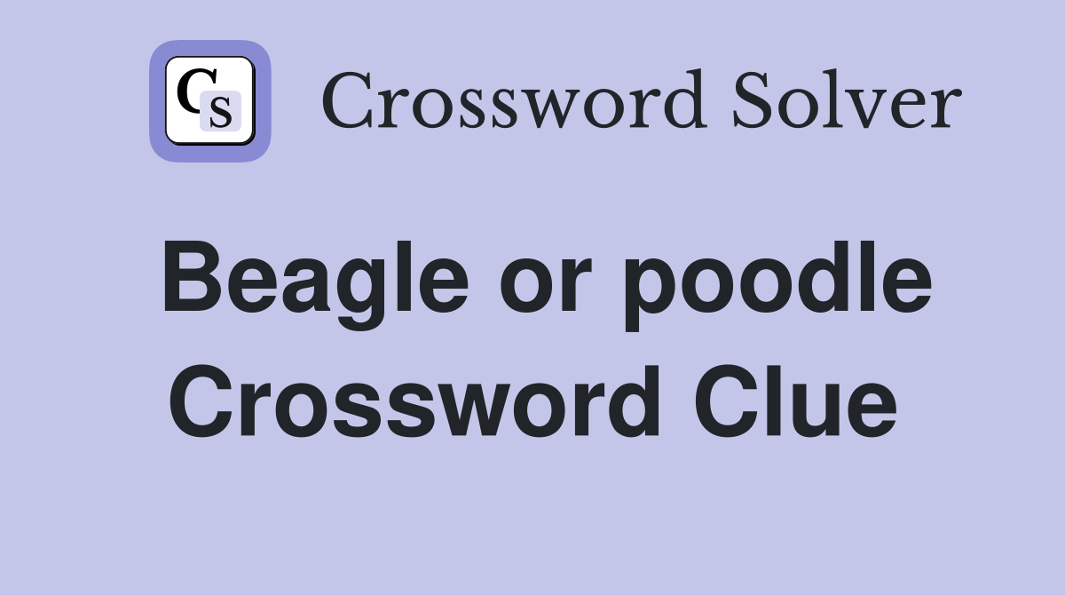 Beagle or poodle Crossword Clue