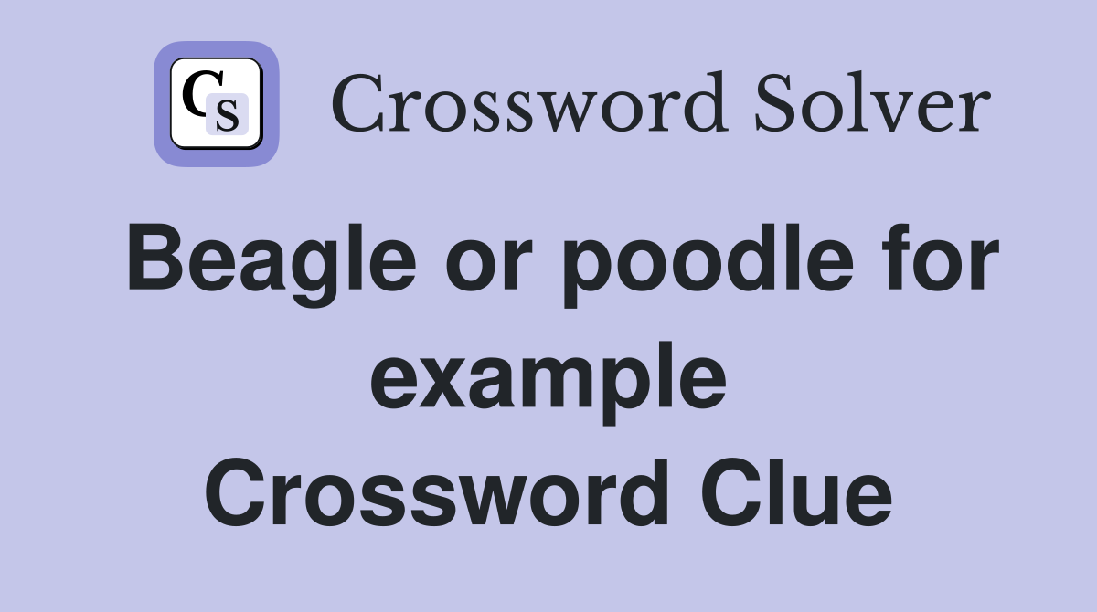 Beagle or poodle for example Crossword Clue