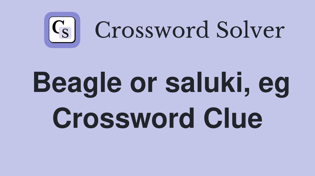 Beagle or saluki, eg Crossword Clue
