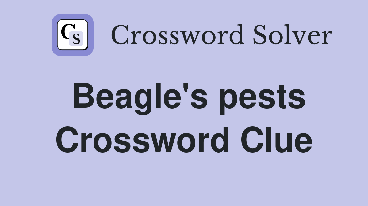 Beagle's pests Crossword Clue