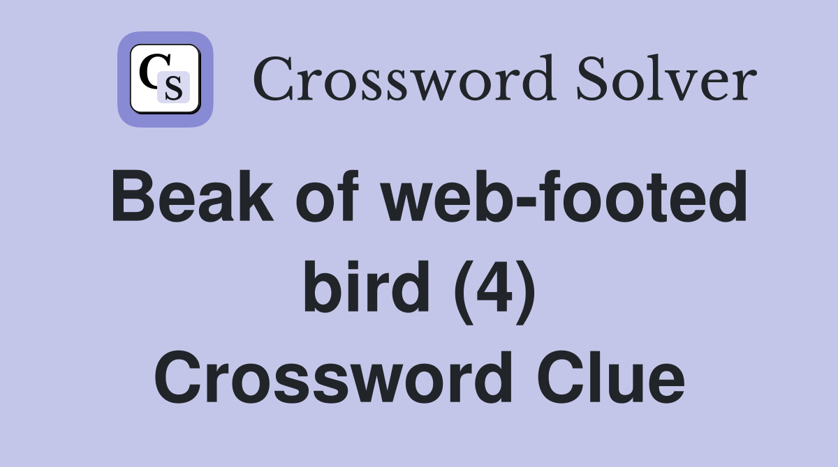 Beak of web-footed bird (4) Crossword Clue