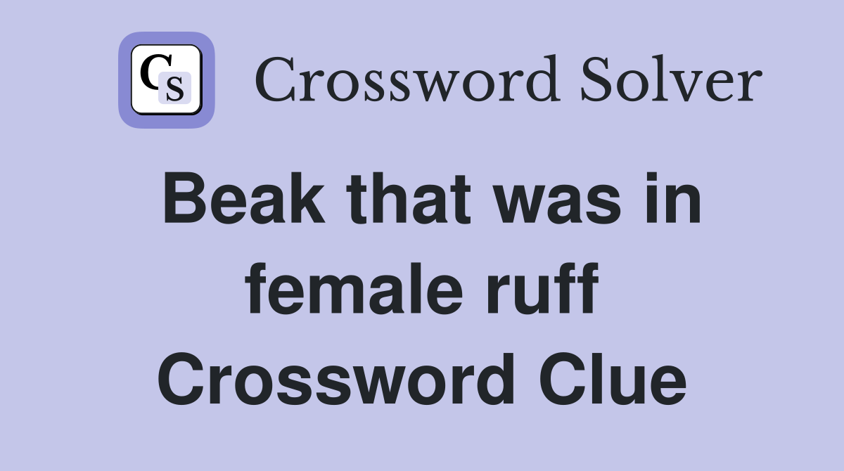 Beak that was in female ruff Crossword Clue
