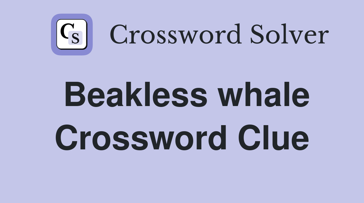 Beakless whale Crossword Clue