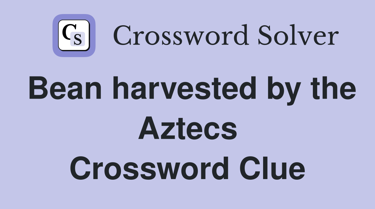 Bean harvested by the Aztecs Crossword Clue