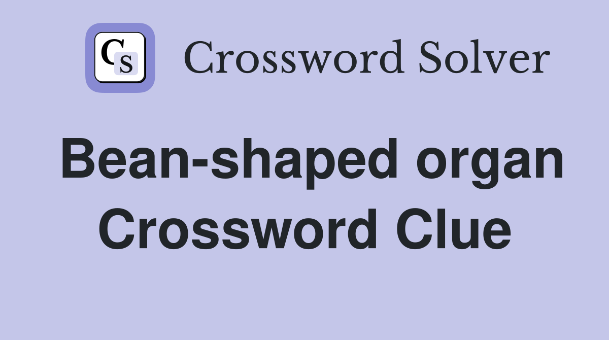 Bean-shaped organ Crossword Clue