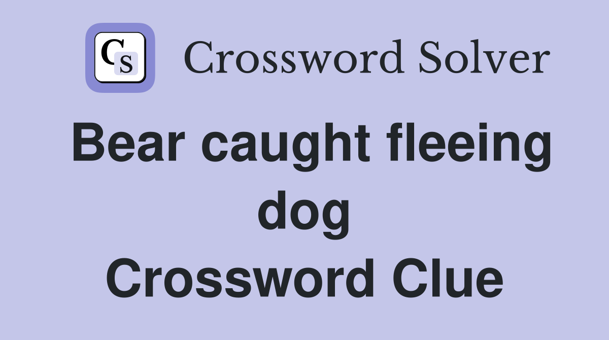 Bear caught fleeing dog Crossword Clue