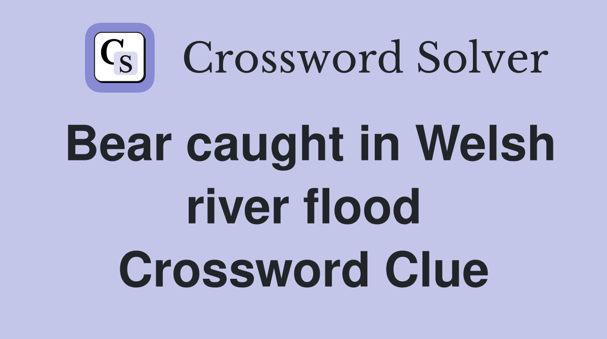 Bear caught in Welsh river flood Crossword Clue
