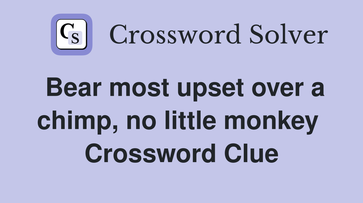 Bear most upset over a chimp, no little monkey  Crossword Clue
