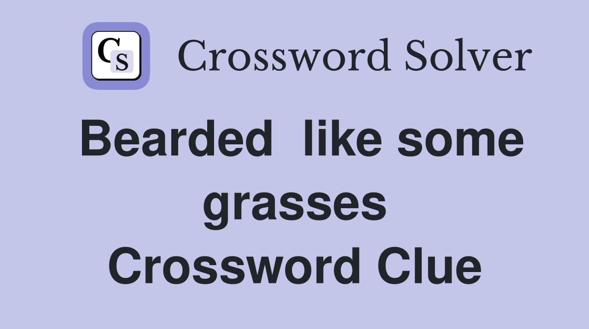 Bearded  like some grasses Crossword Clue