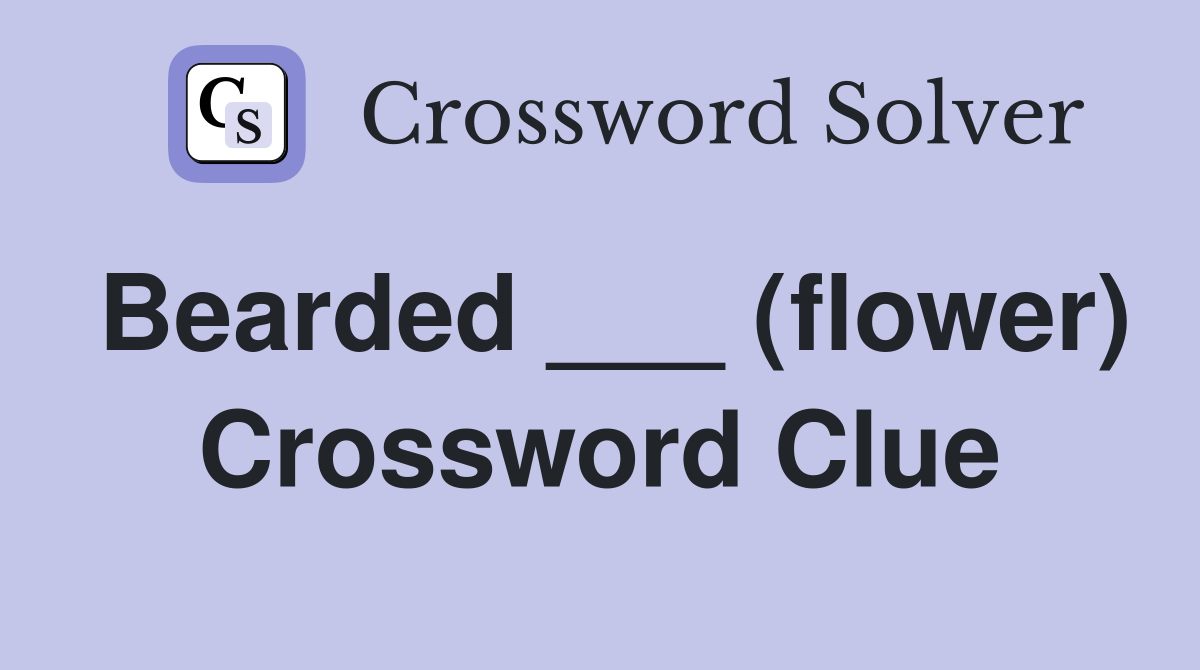 Bearded ___ (flower) Crossword Clue