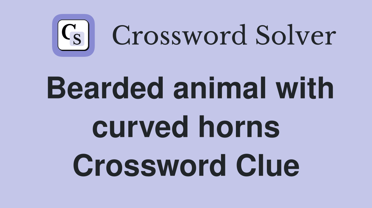 Bearded animal with curved horns Crossword Clue