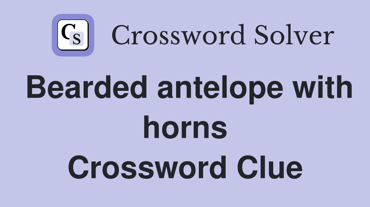 Bearded antelope with horns Crossword Clue