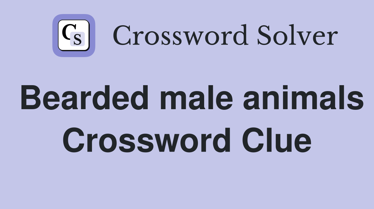 Bearded male animals Crossword Clue
