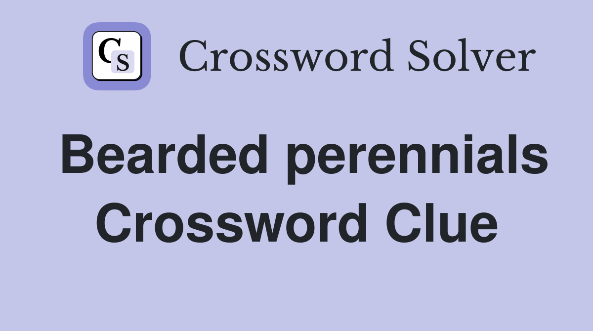 Bearded perennials Crossword Clue
