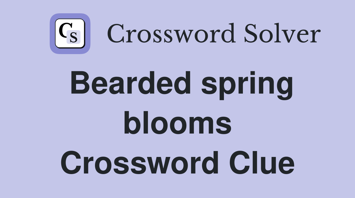 Bearded spring blooms Crossword Clue