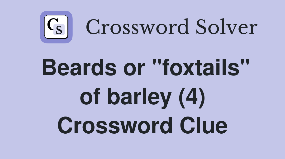 Beards or "foxtails" of barley (4) Crossword Clue