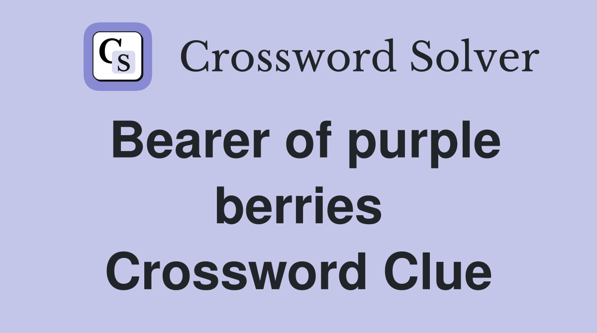 Bearer of purple berries Crossword Clue