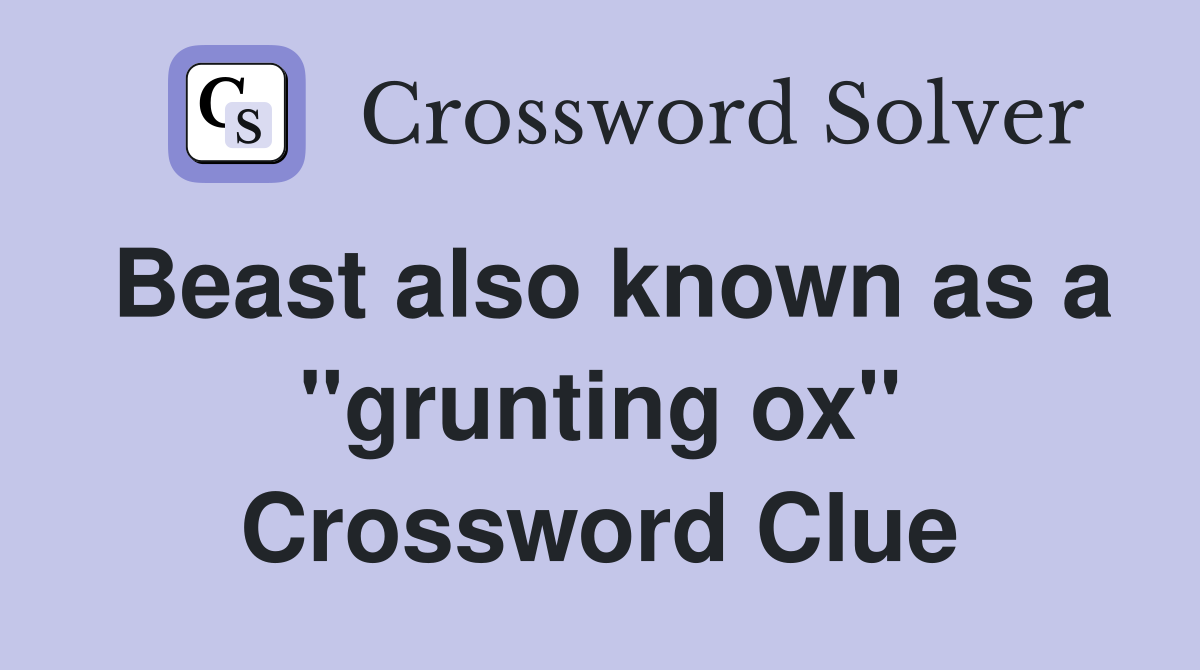 Beast also known as a "grunting ox" Crossword Clue