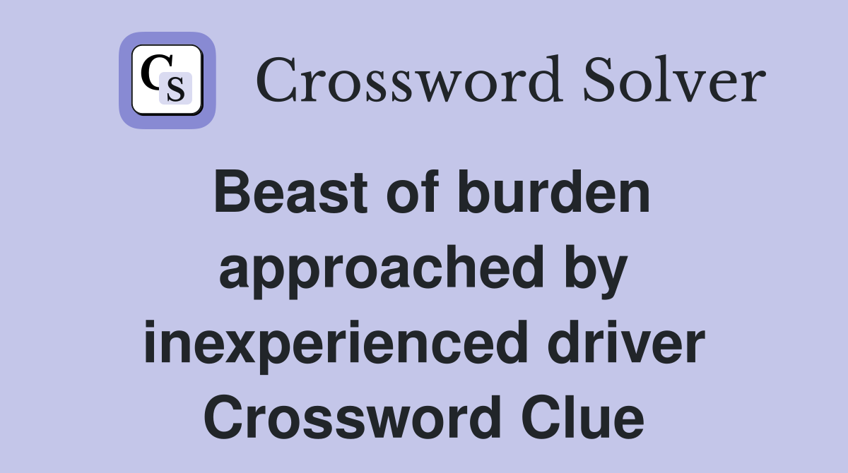 Beast of burden approached by inexperienced driver Crossword Clue