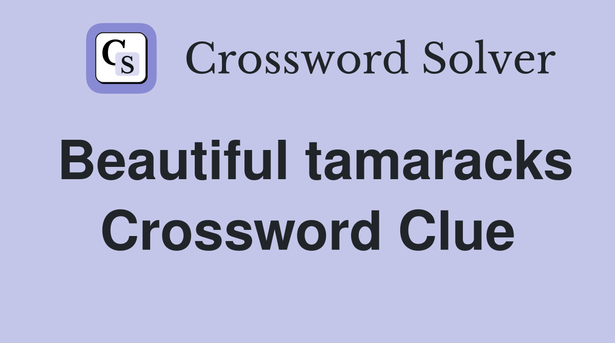 Beautiful tamaracks Crossword Clue