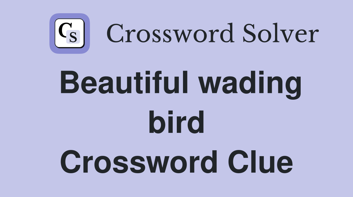 Beautiful wading bird Crossword Clue