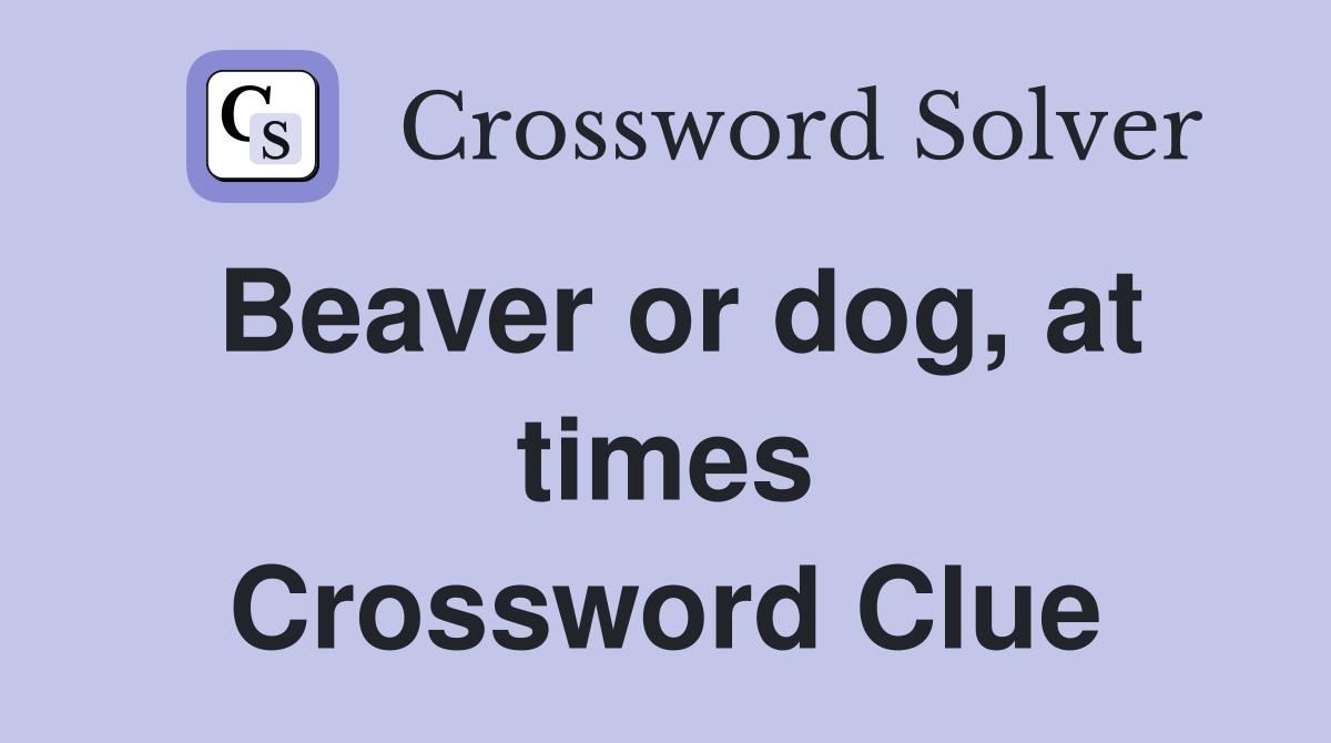 Beaver or dog, at times Crossword Clue