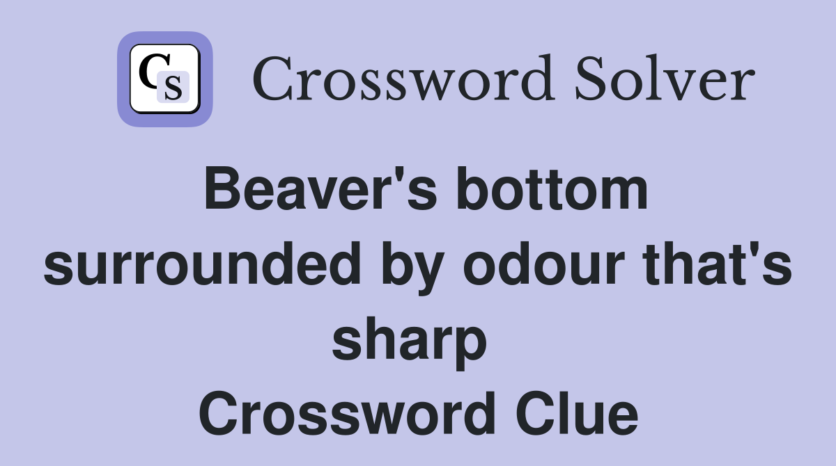 Beaver's bottom surrounded by odour that's sharp  Crossword Clue