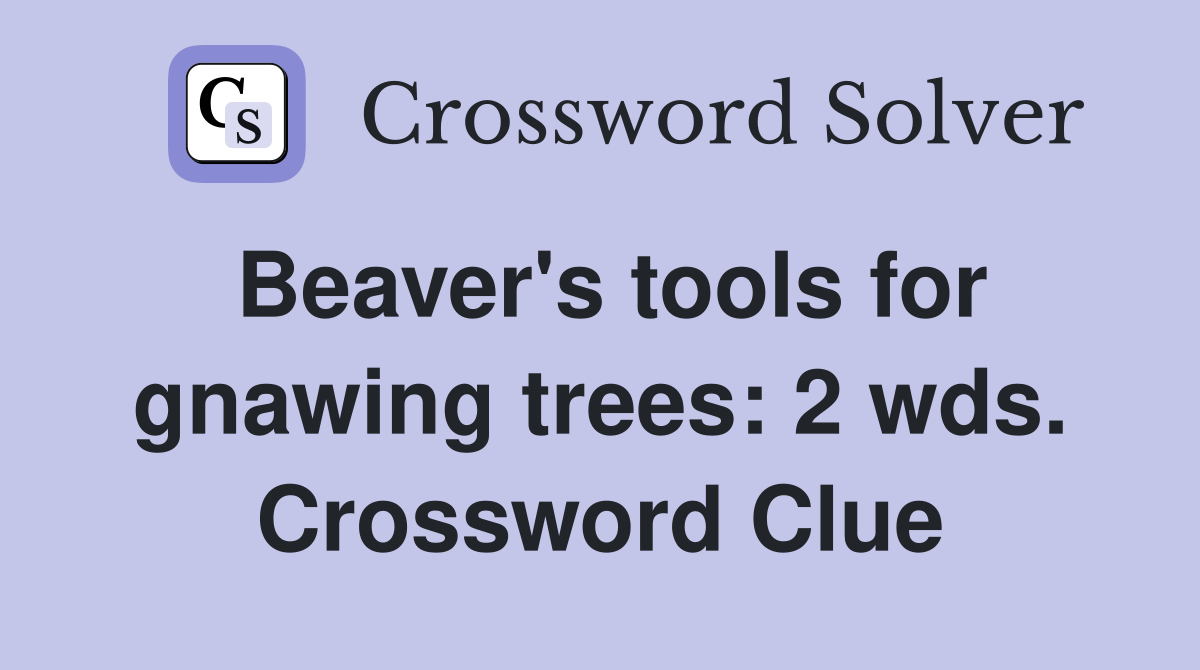 Beaver's tools for gnawing trees: 2 wds. Crossword Clue