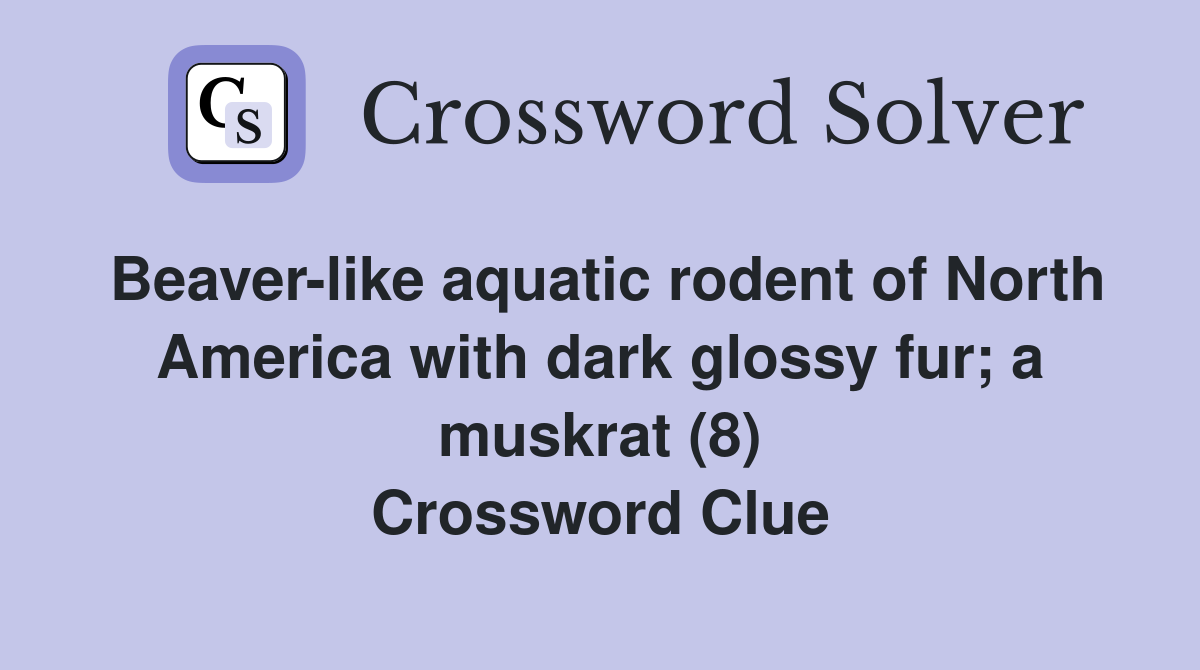 Beaver-like aquatic rodent of North America with dark glossy fur; a muskrat (8) Crossword Clue