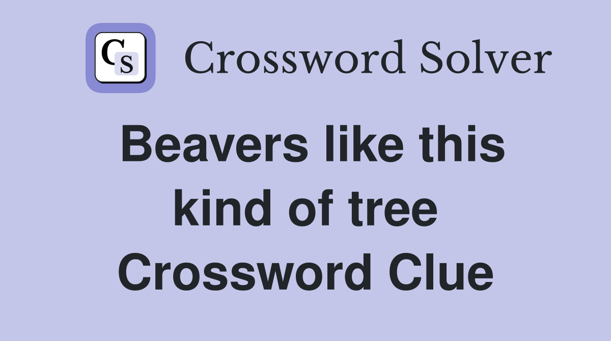 Beavers like this kind of tree Crossword Clue