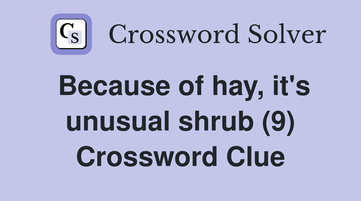 Because of hay, it's unusual shrub (9) Crossword Clue