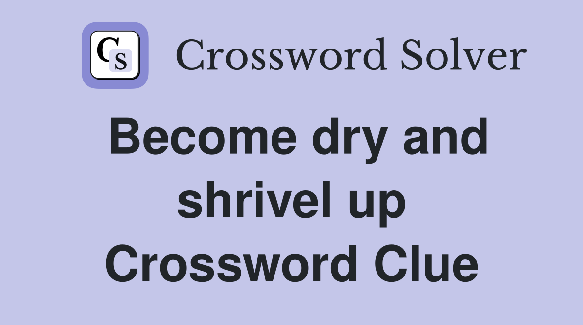 Become dry and shrivel up Crossword Clue
