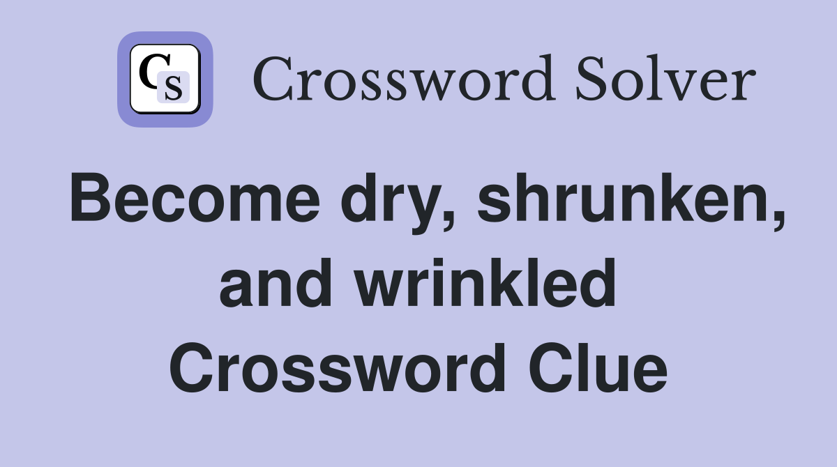 Become dry, shrunken, and wrinkled Crossword Clue