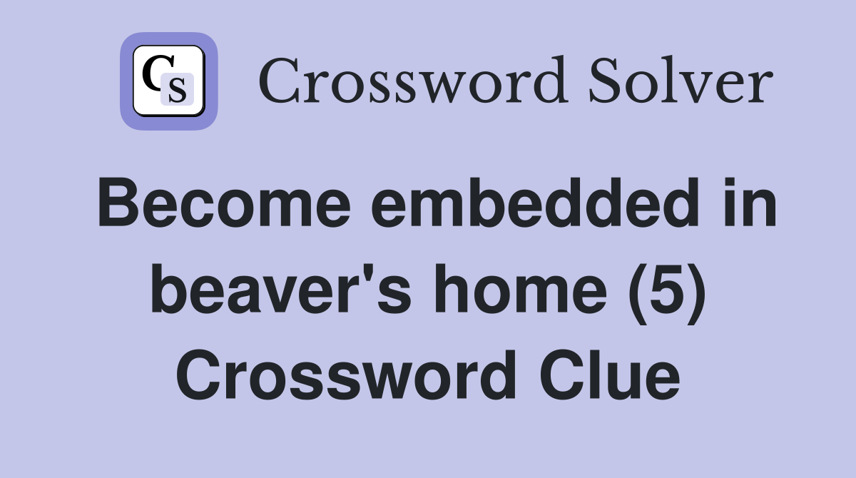 Become embedded in beaver's home (5) Crossword Clue