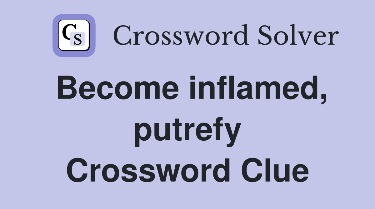 Become inflamed, putrefy Crossword Clue
