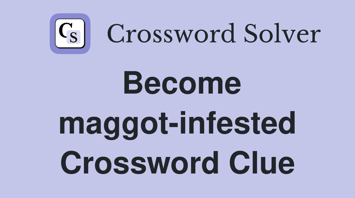 Become maggot-infested Crossword Clue