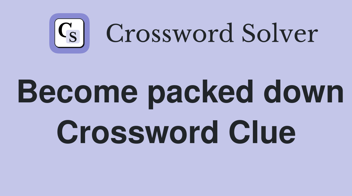 Become packed down Crossword Clue