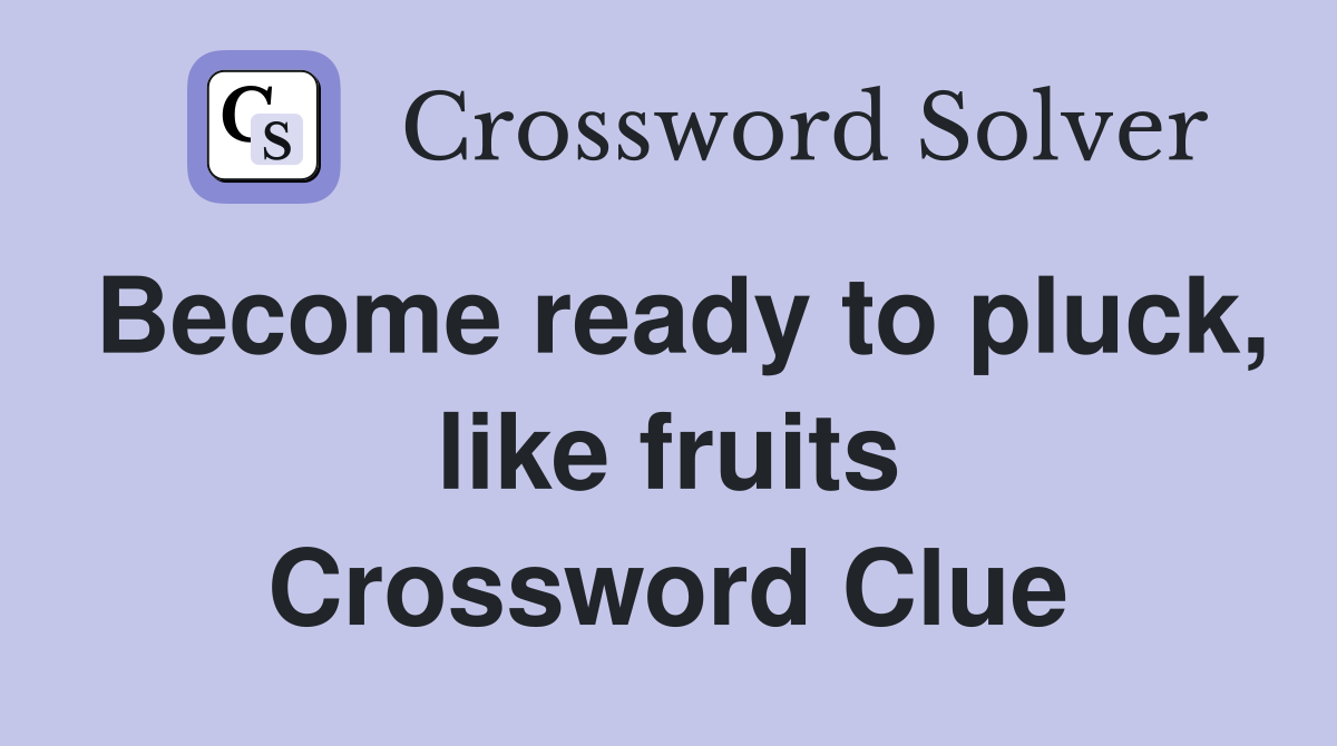 Become ready to pluck, like fruits Crossword Clue