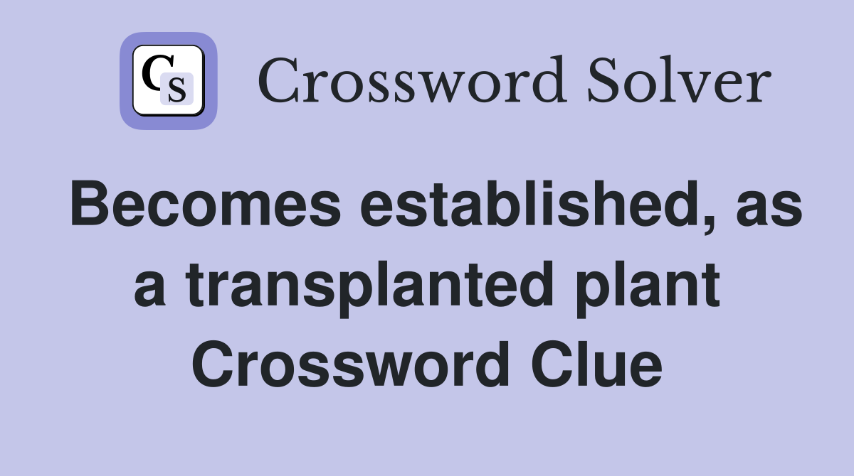 Becomes established, as a transplanted plant Crossword Clue