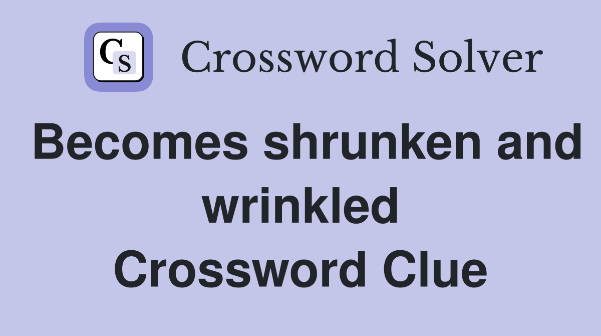 Becomes shrunken and wrinkled Crossword Clue
