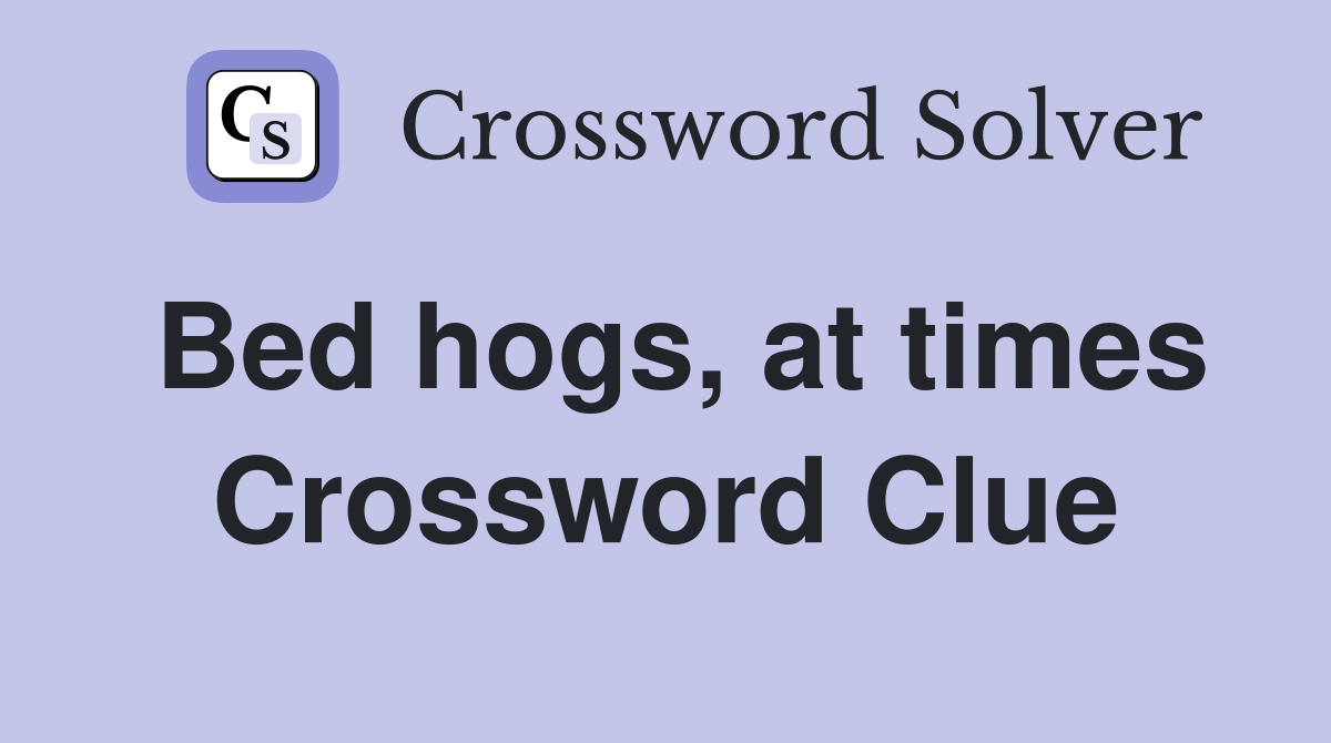 Bed hogs, at times Crossword Clue