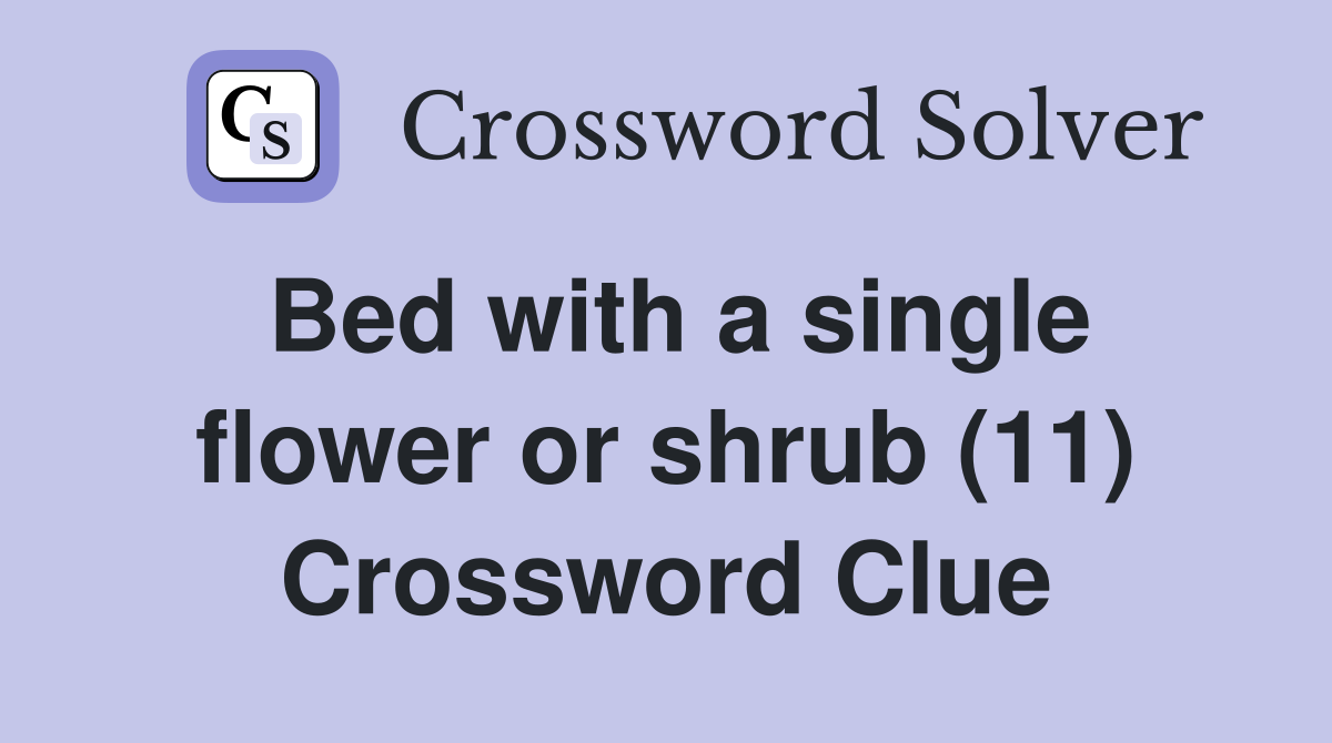 Bed with a single flower or shrub (11) Crossword Clue