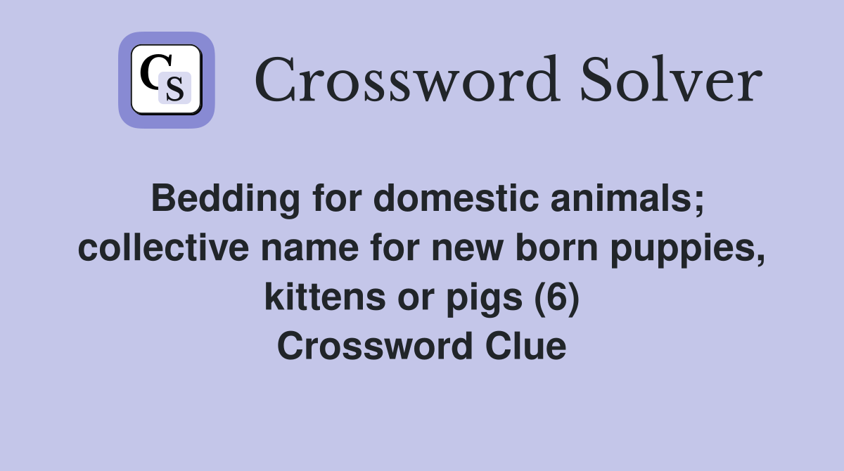 Bedding for domestic animals; collective name for new born puppies, kittens or pigs (6) Crossword Clue