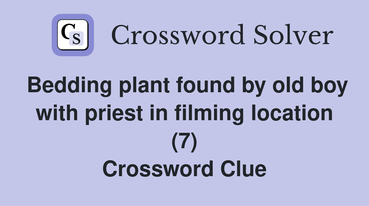 Bedding plant found by old boy with priest in filming location (7) Crossword Clue