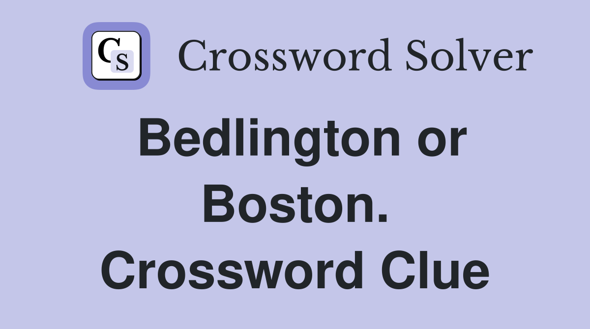 Bedlington or Boston. Crossword Clue