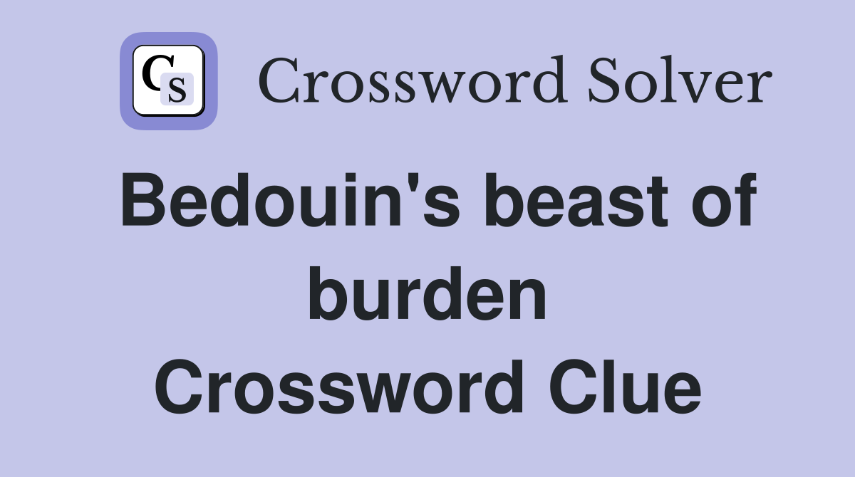 Bedouin's beast of burden Crossword Clue