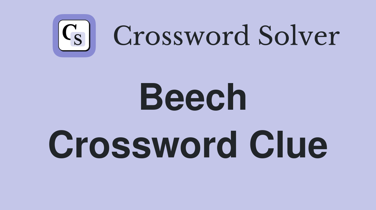 Beech Crossword Clue