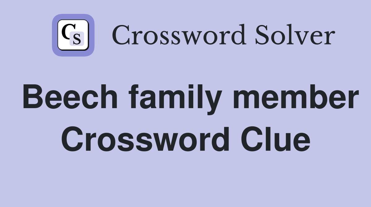 Beech family member Crossword Clue