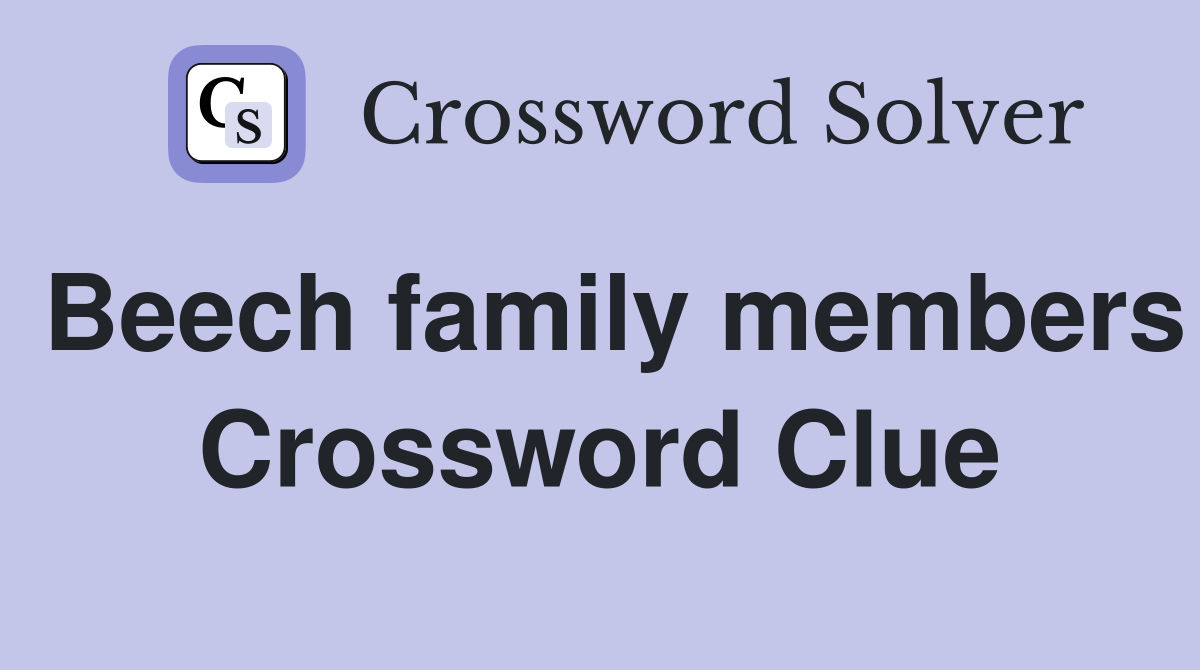 Beech family members Crossword Clue