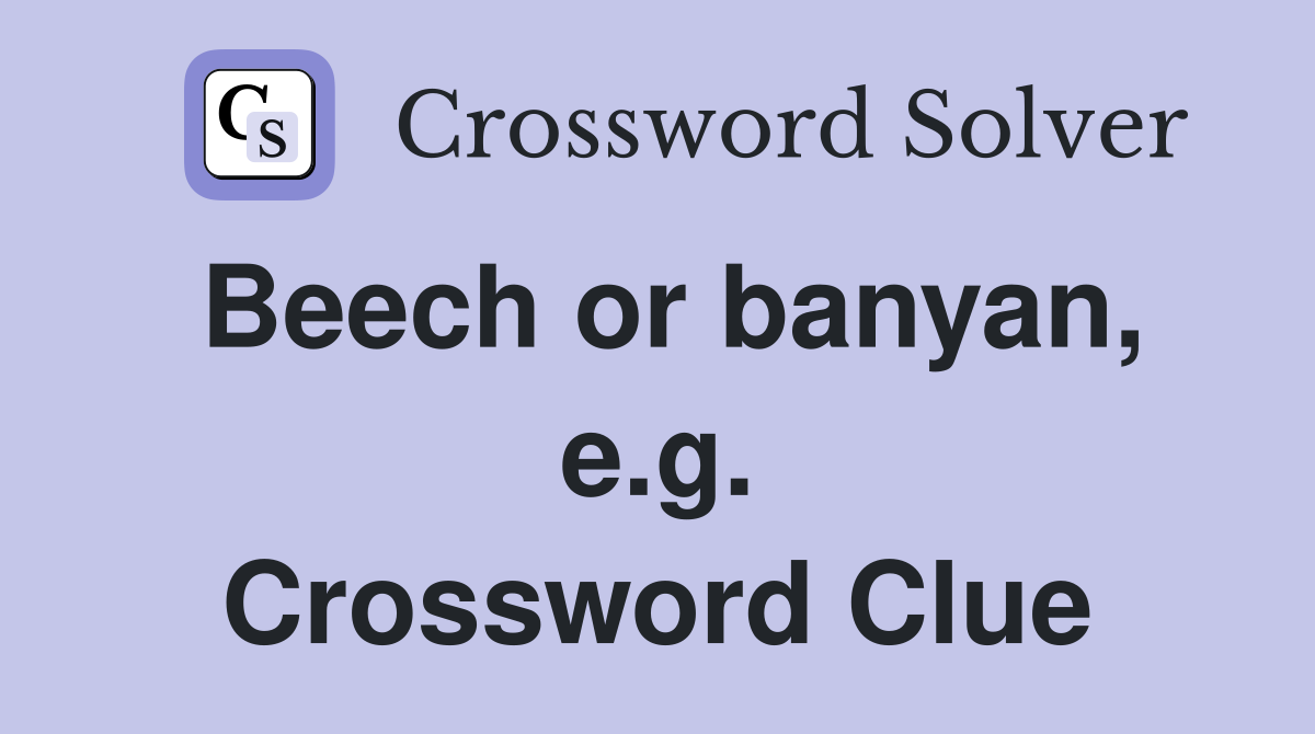 Beech or banyan, e.g. Crossword Clue